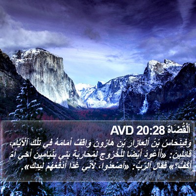 اَلْقُضَاة 20:28 AVD Bible Verse Image