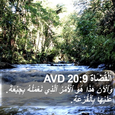 اَلْقُضَاة 20:9 AVD Bible Verse Image