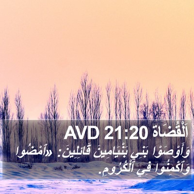 اَلْقُضَاة 21:20 AVD Bible Verse Image