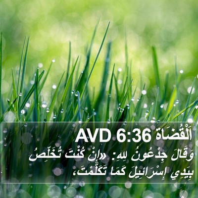 اَلْقُضَاة 6:36 AVD Bible Verse Image