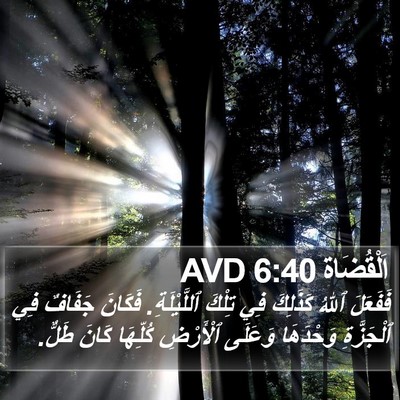 اَلْقُضَاة 6:40 AVD Bible Verse Image