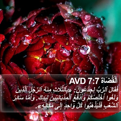 اَلْقُضَاة 7:7 AVD Bible Verse Image