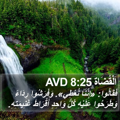اَلْقُضَاة 8:25 AVD Bible Verse Image