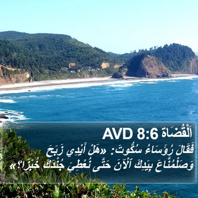 اَلْقُضَاة 8:6 AVD Bible Verse Image