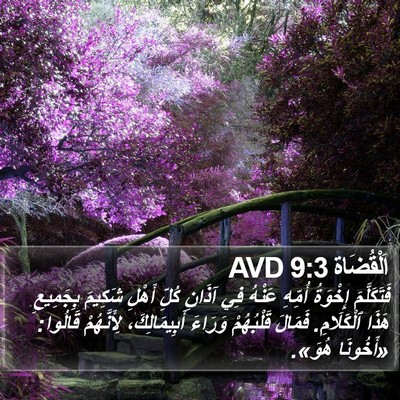اَلْقُضَاة 9:3 AVD Bible Verse Image