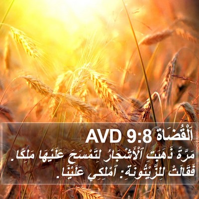 اَلْقُضَاة 9:8 AVD Bible Verse Image
