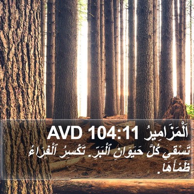 اَلْمَزَامِيرُ 104:11 AVD Bible Verse Image