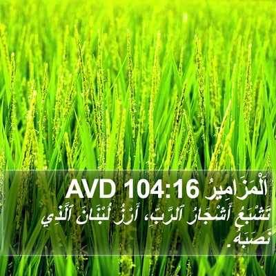 اَلْمَزَامِيرُ 104:16 AVD Bible Verse Image