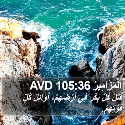اَلْمَزَامِيرُ 105:36 AVD Bible Verse Image