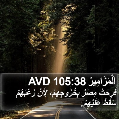 اَلْمَزَامِيرُ 105:38 AVD Bible Verse Image