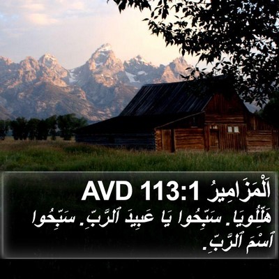 اَلْمَزَامِيرُ 113:1 AVD Bible Verse Image