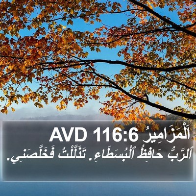 اَلْمَزَامِيرُ 116:6 AVD Bible Verse Image