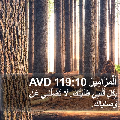 اَلْمَزَامِيرُ 119:10 AVD Bible Verse Image