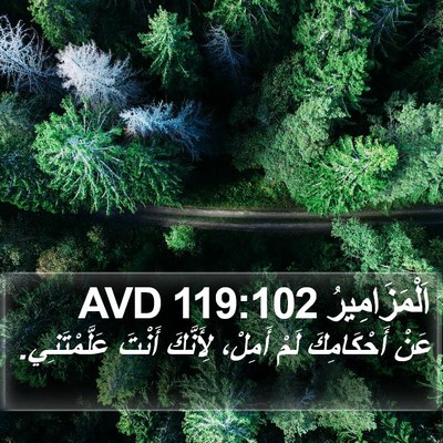 اَلْمَزَامِيرُ 119:102 AVD Bible Verse Image