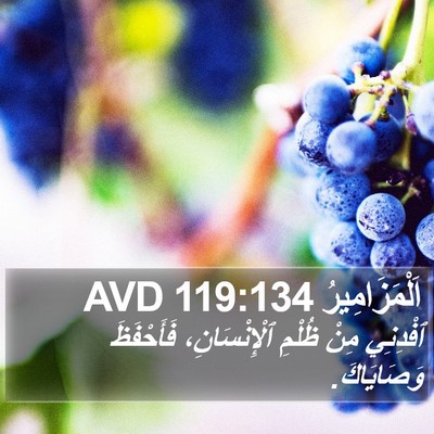 اَلْمَزَامِيرُ 119:134 AVD Bible Verse Image