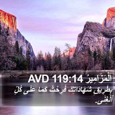 اَلْمَزَامِيرُ 119:14 AVD Bible Verse Image