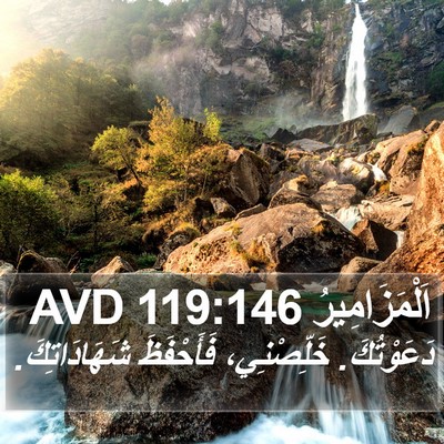 اَلْمَزَامِيرُ 119:146 AVD Bible Verse Image