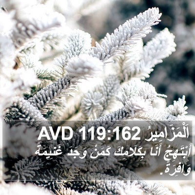 اَلْمَزَامِيرُ 119:162 AVD Bible Verse Image