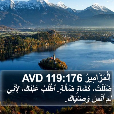 اَلْمَزَامِيرُ 119:176 AVD Bible Verse Image