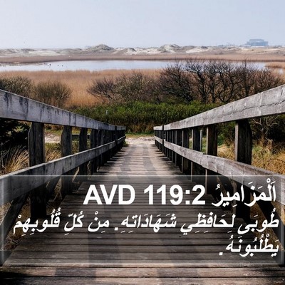 اَلْمَزَامِيرُ 119:2 AVD Bible Verse Image