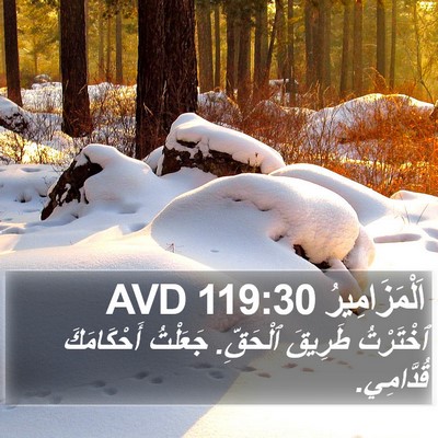 اَلْمَزَامِيرُ 119:30 AVD Bible Verse Image