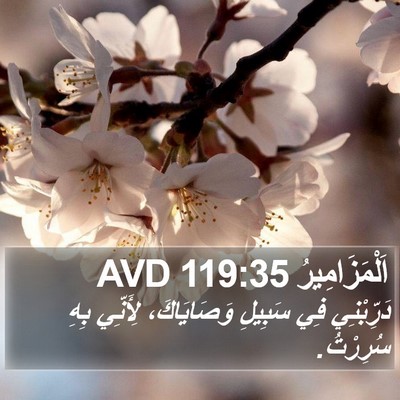 اَلْمَزَامِيرُ 119:35 AVD Bible Verse Image