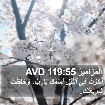 اَلْمَزَامِيرُ 119:55 AVD Bible Verse Image