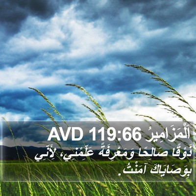 اَلْمَزَامِيرُ 119:66 AVD Bible Verse Image