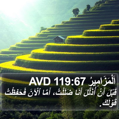 اَلْمَزَامِيرُ 119:67 AVD Bible Verse Image