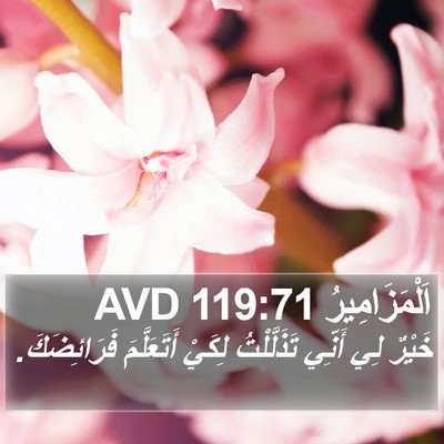 اَلْمَزَامِيرُ 119:71 AVD Bible Verse Image