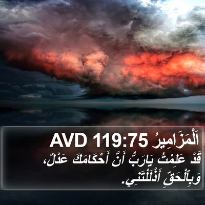 اَلْمَزَامِيرُ 119:75 AVD Bible Verse Image
