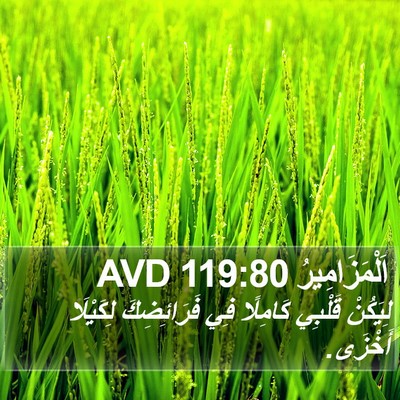 اَلْمَزَامِيرُ 119:80 AVD Bible Verse Image