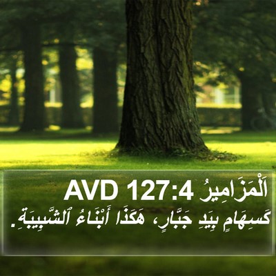 اَلْمَزَامِيرُ 127:4 AVD Bible Verse Image