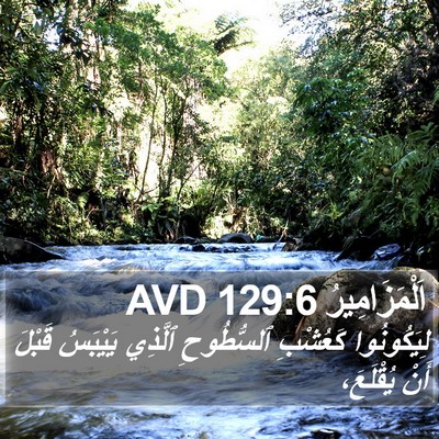 اَلْمَزَامِيرُ 129:6 AVD Bible Verse Image