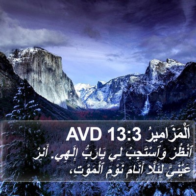 اَلْمَزَامِيرُ 13:3 AVD Bible Verse Image