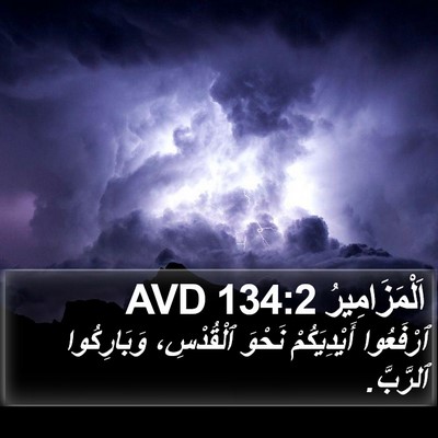 اَلْمَزَامِيرُ 134:2 AVD Bible Verse Image