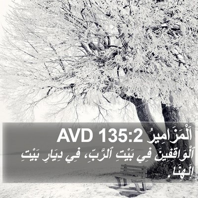 اَلْمَزَامِيرُ 135:2 AVD Bible Verse Image
