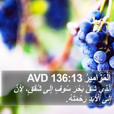 اَلْمَزَامِيرُ 136:13 AVD Bible Verse Image