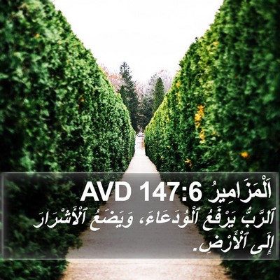 اَلْمَزَامِيرُ 147:6 AVD Bible Verse Image