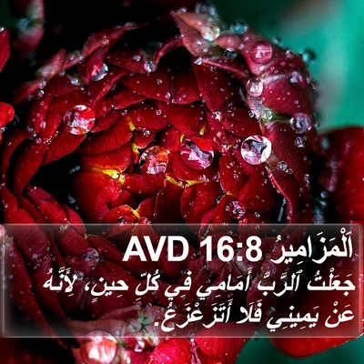 اَلْمَزَامِيرُ 16:8 AVD Bible Verse Image