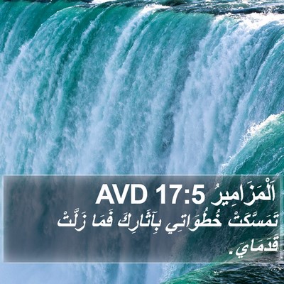 اَلْمَزَامِيرُ 17:5 AVD Bible Verse Image