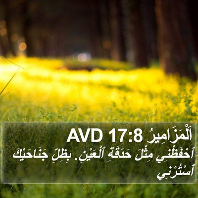 اَلْمَزَامِيرُ 17:8 AVD Bible Verse Image