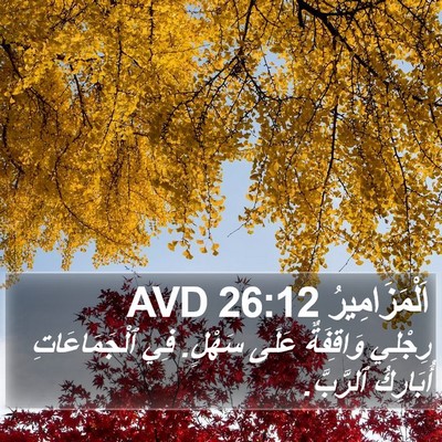 اَلْمَزَامِيرُ 26:12 AVD Bible Verse Image