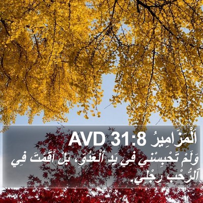 اَلْمَزَامِيرُ 31:8 AVD Bible Verse Image