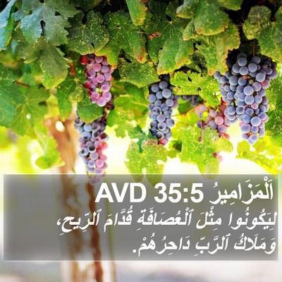 اَلْمَزَامِيرُ 35:5 AVD Bible Verse Image