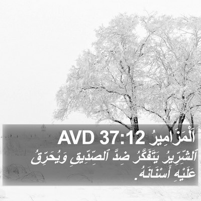 اَلْمَزَامِيرُ 37:12 AVD Bible Verse Image