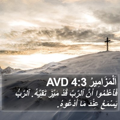 اَلْمَزَامِيرُ 4:3 AVD Bible Verse Image