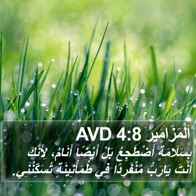 اَلْمَزَامِيرُ 4:8 AVD Bible Verse Image