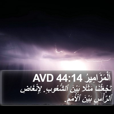 اَلْمَزَامِيرُ 44:14 AVD Bible Verse Image