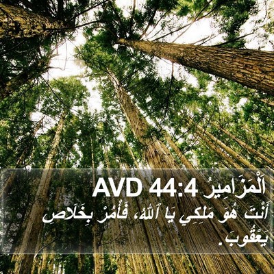 اَلْمَزَامِيرُ 44:4 AVD Bible Verse Image